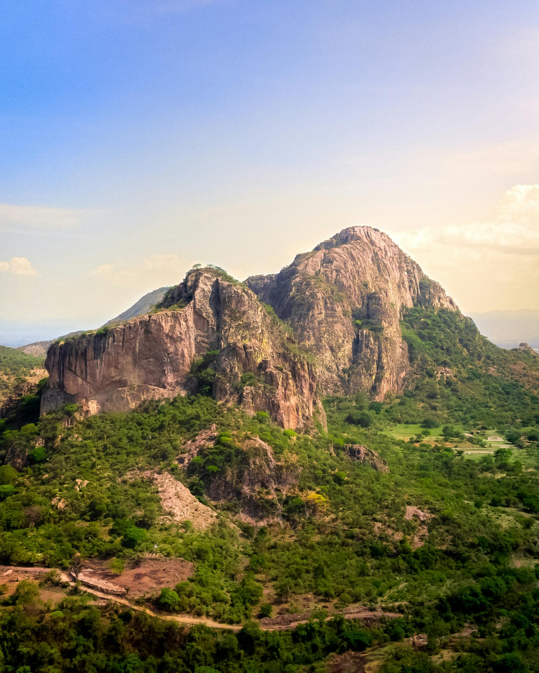 Taita Hills