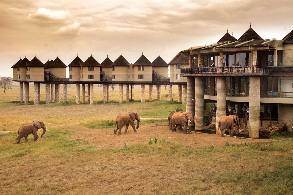 Tsavo Saltlick