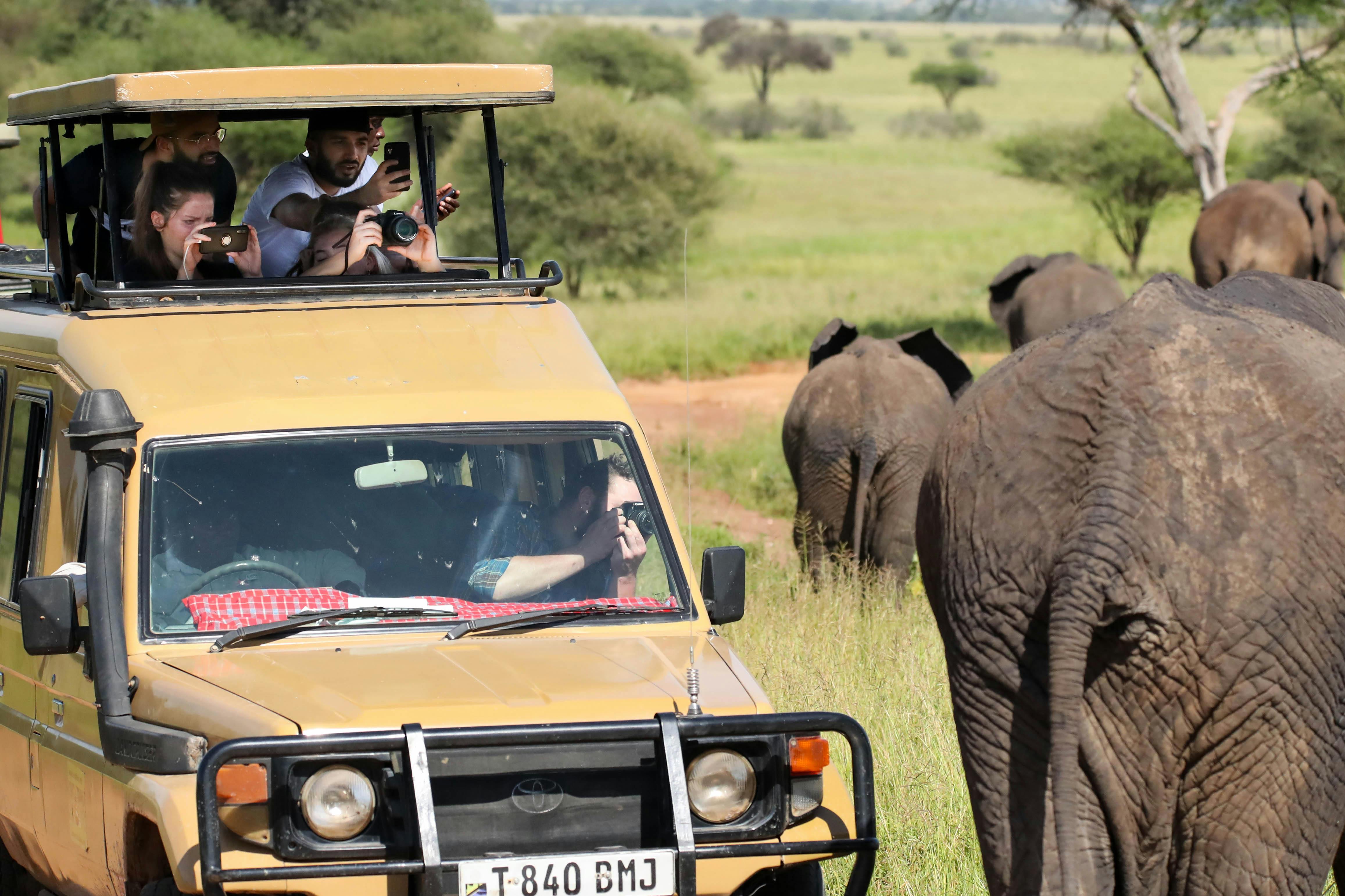 Grand Safari