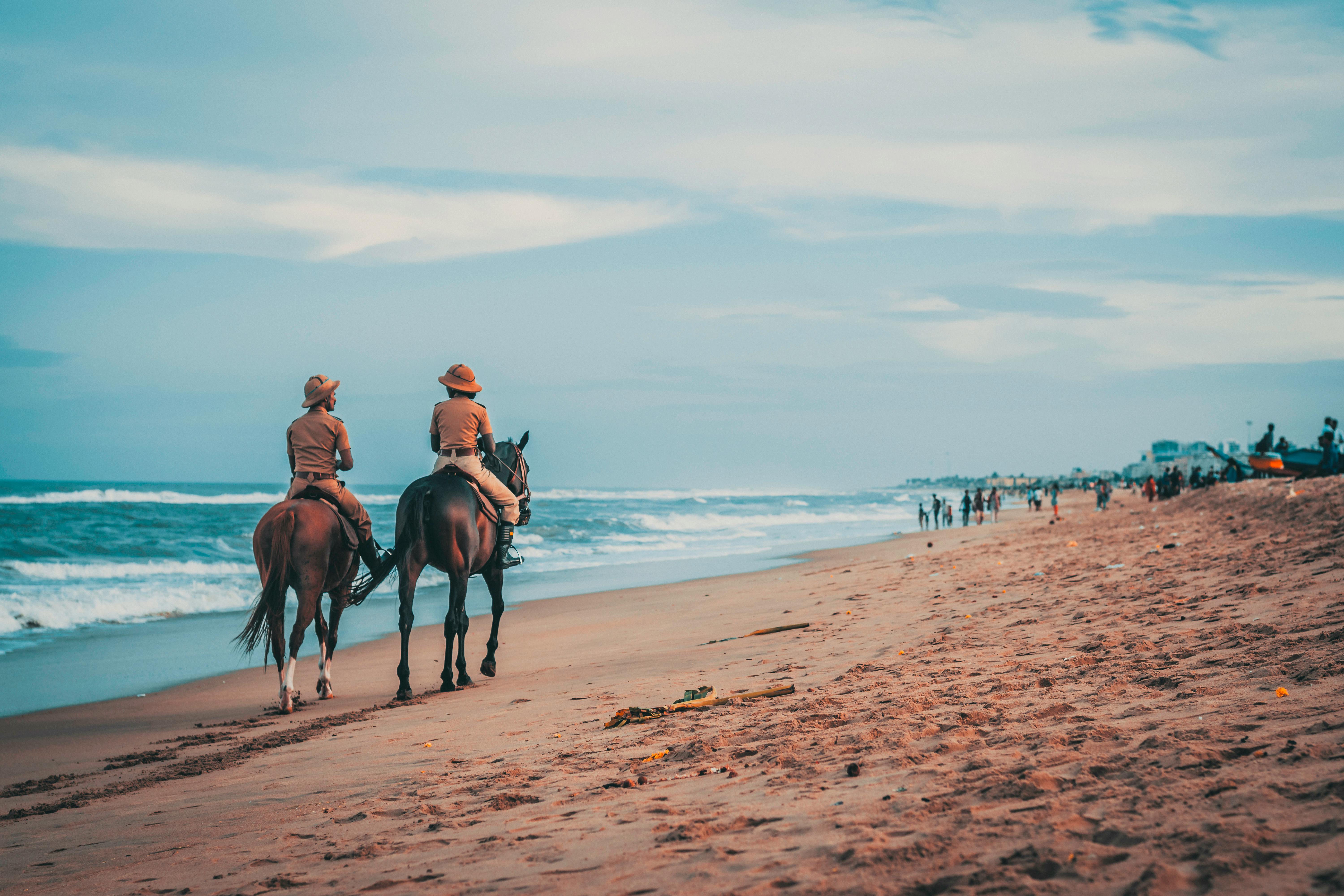 Horse Riding