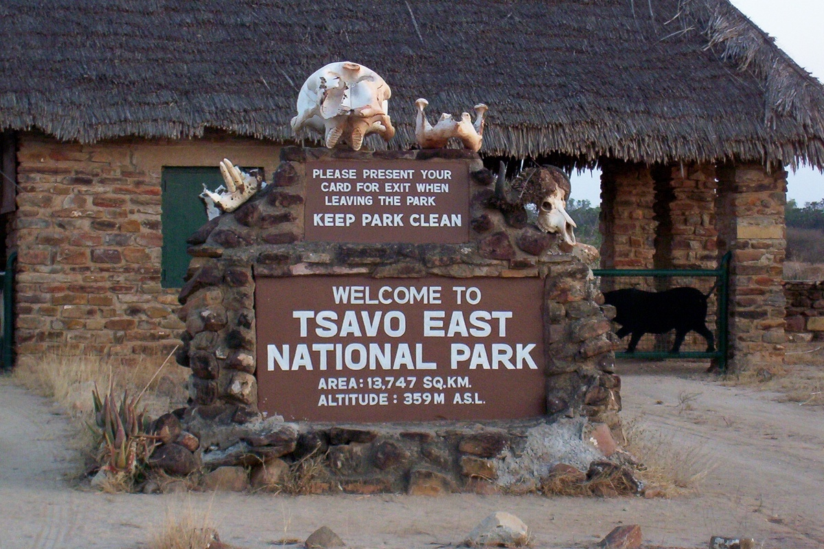 Tsavo Safari